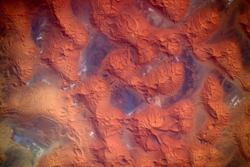 Illustration for article titled These Are Our Favorite Earth Images of 2015